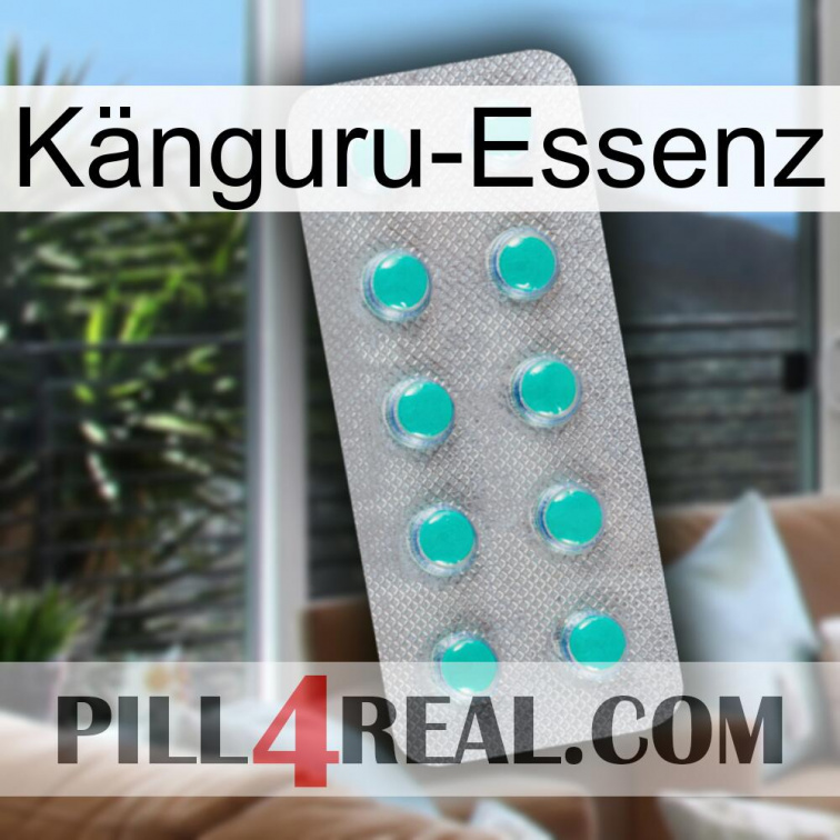 Känguru-Essenz 28